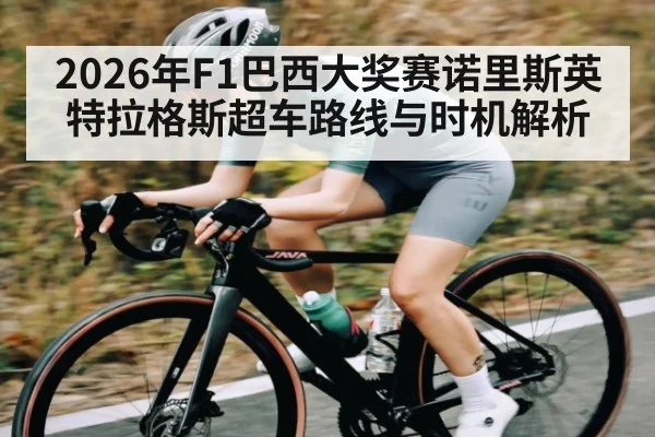 2026年F1巴西大奖赛诺里斯英特拉格斯超车路线与时机解析